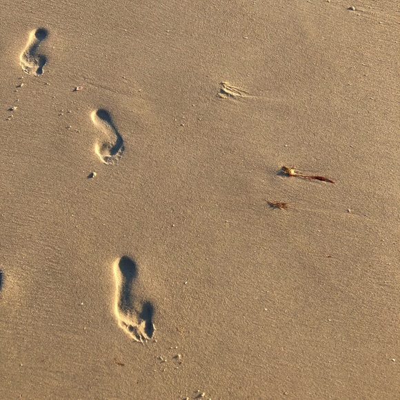 🇨🇦🇨🇦 Posh Ambassador 🇨🇦🇨🇦 - Picture 4 of 12